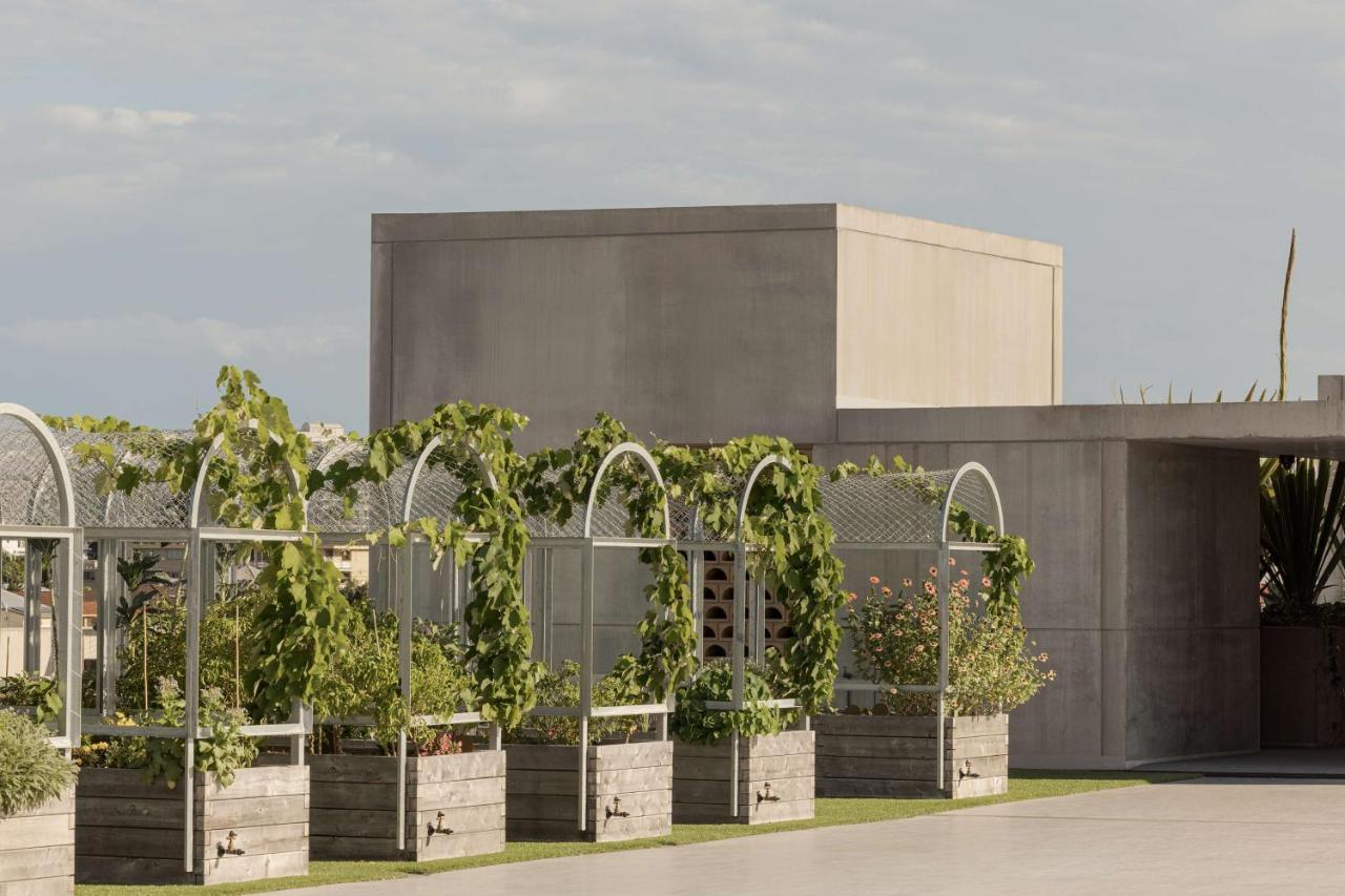 The Calile Hotel Brisbane Exterior foto The winery at H.L. Stubb's vineyard